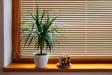 Venetian Blinds ( Mini Blinds ) @ Per Sq. Feet