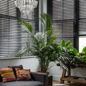Wooden Blinds @ Per Sq. Feet