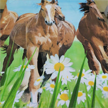 Horses & Sunflower Kids Bed Sheet