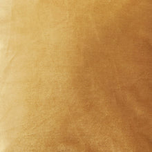 Golden Velvet Cushion Cover