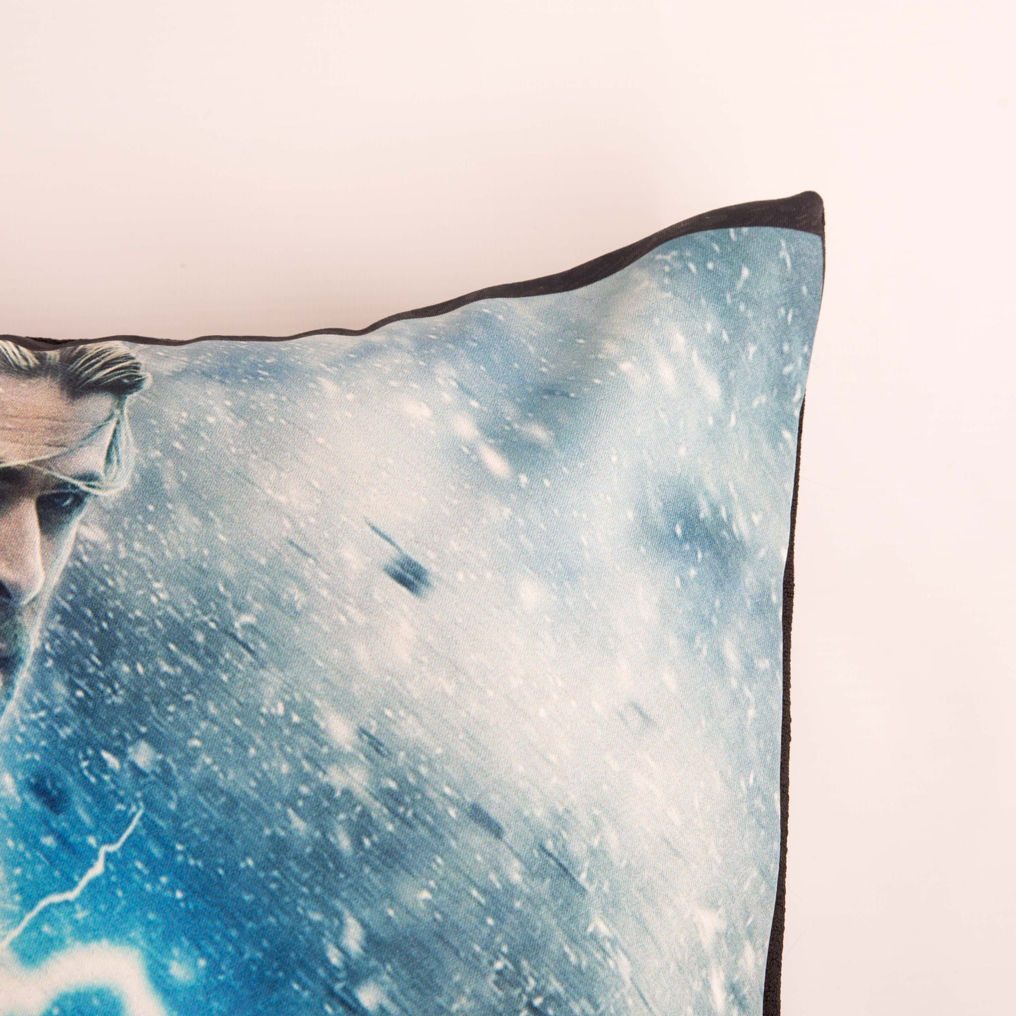 Cushion Cover Thor Single