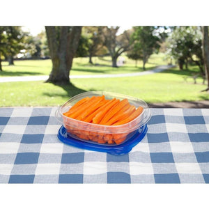 Square Take along Bowls (Pack of 4) - waseeh.com