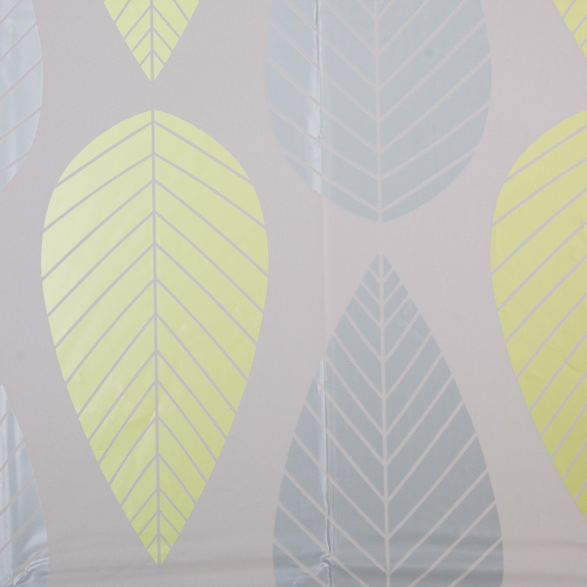 Shower Curtain