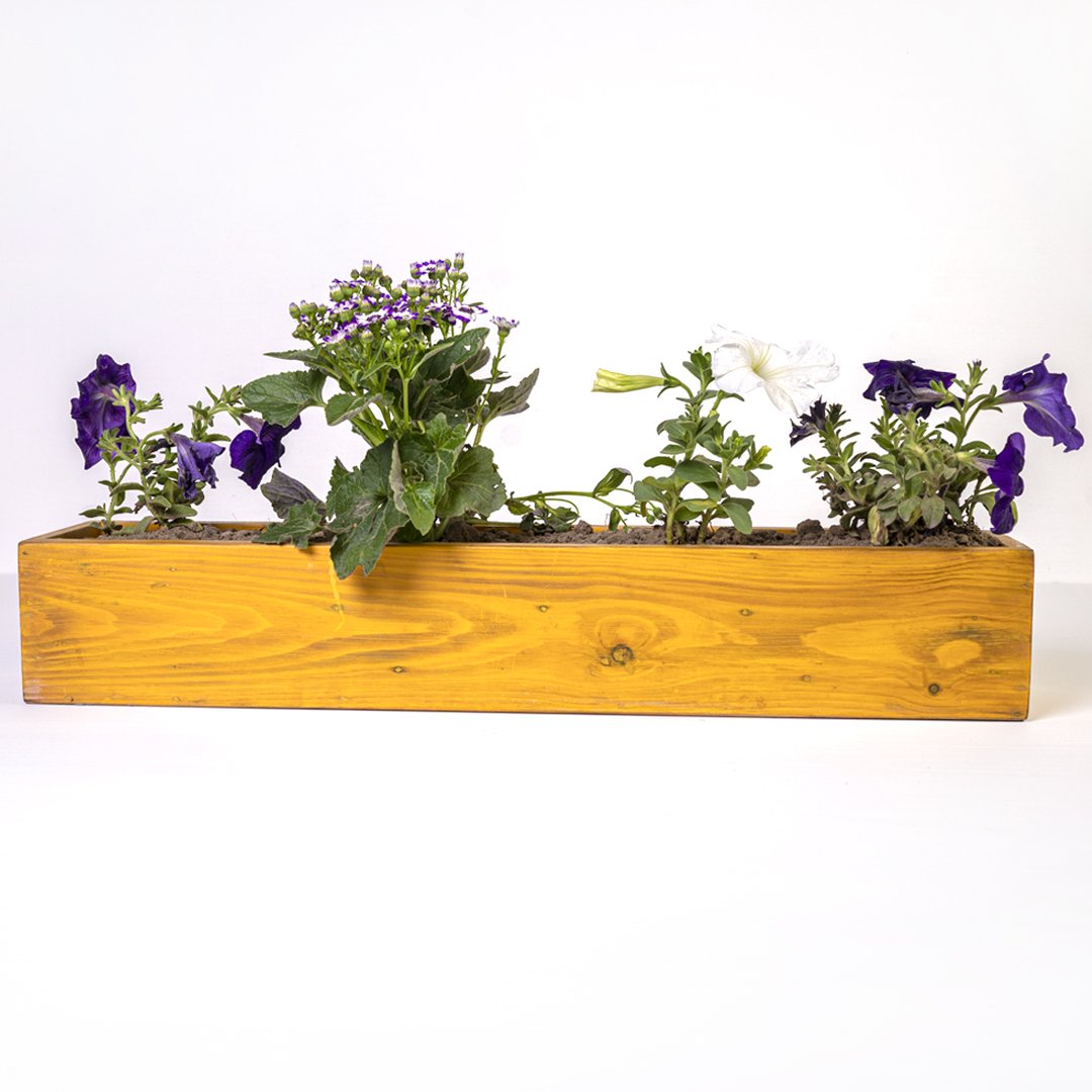 Planter Pot