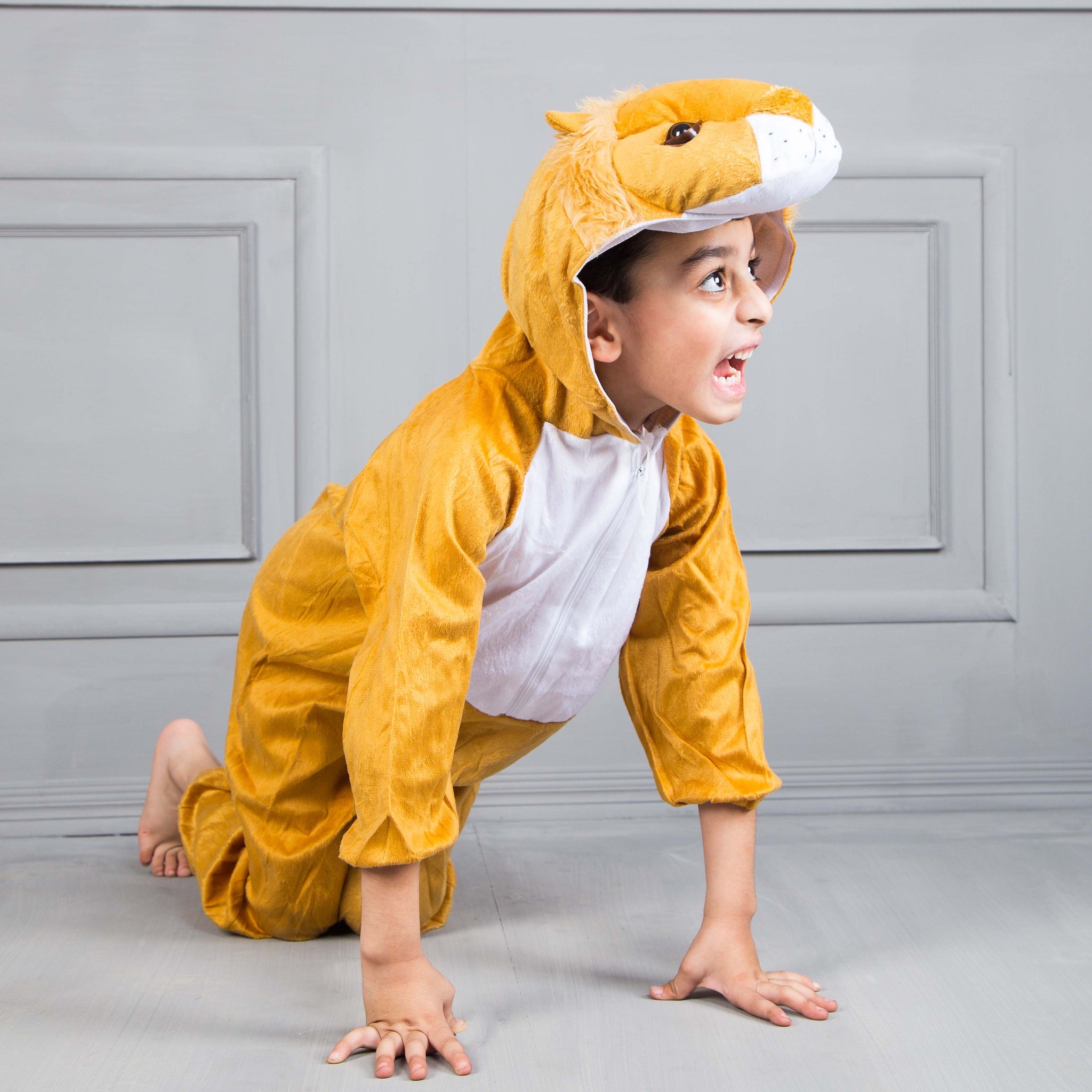 Loin Costume