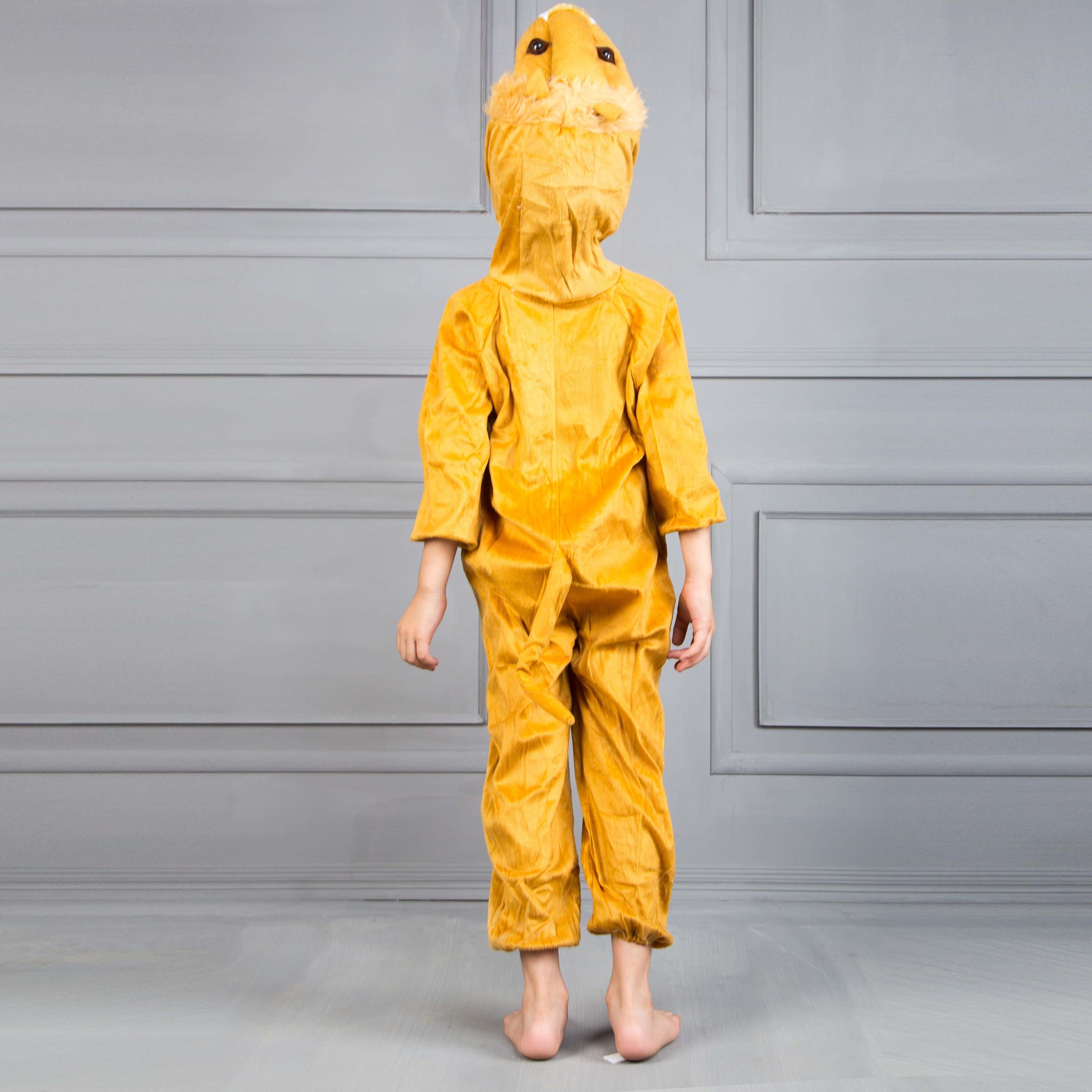 Loin Costume