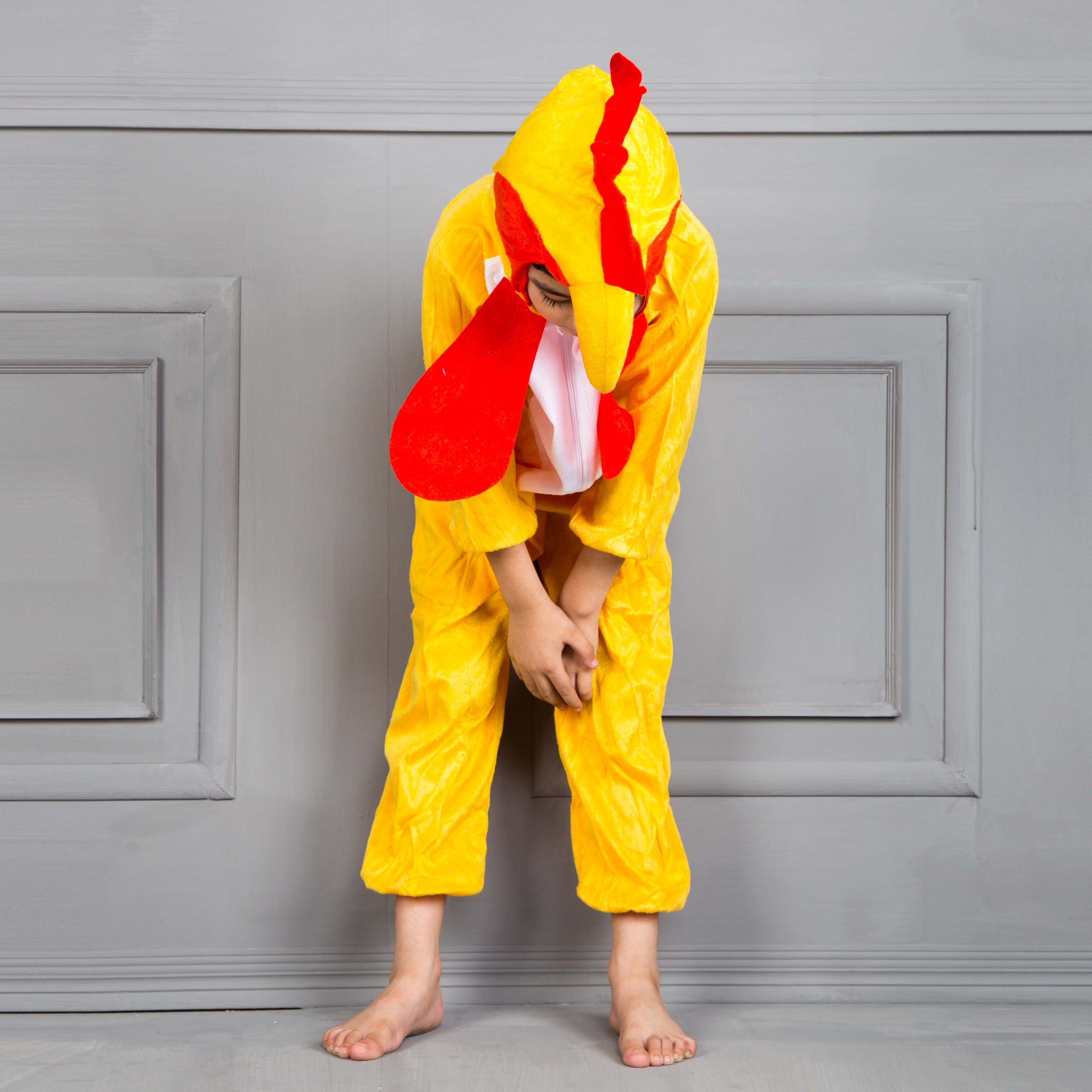 Parrot Character Costume