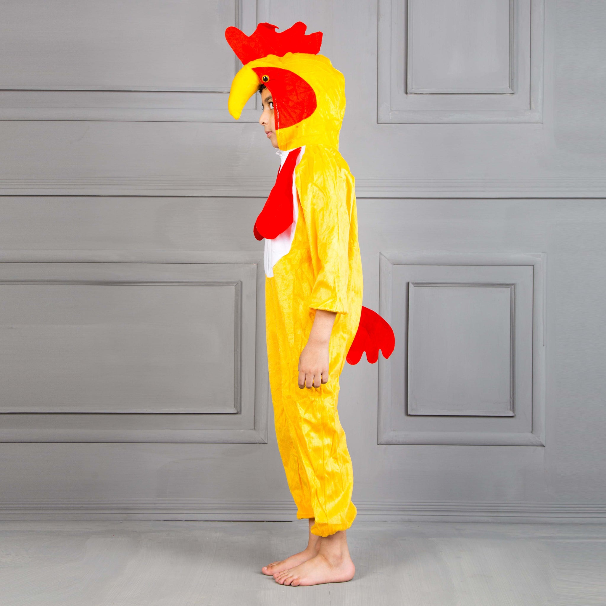 Parrot Character Costume