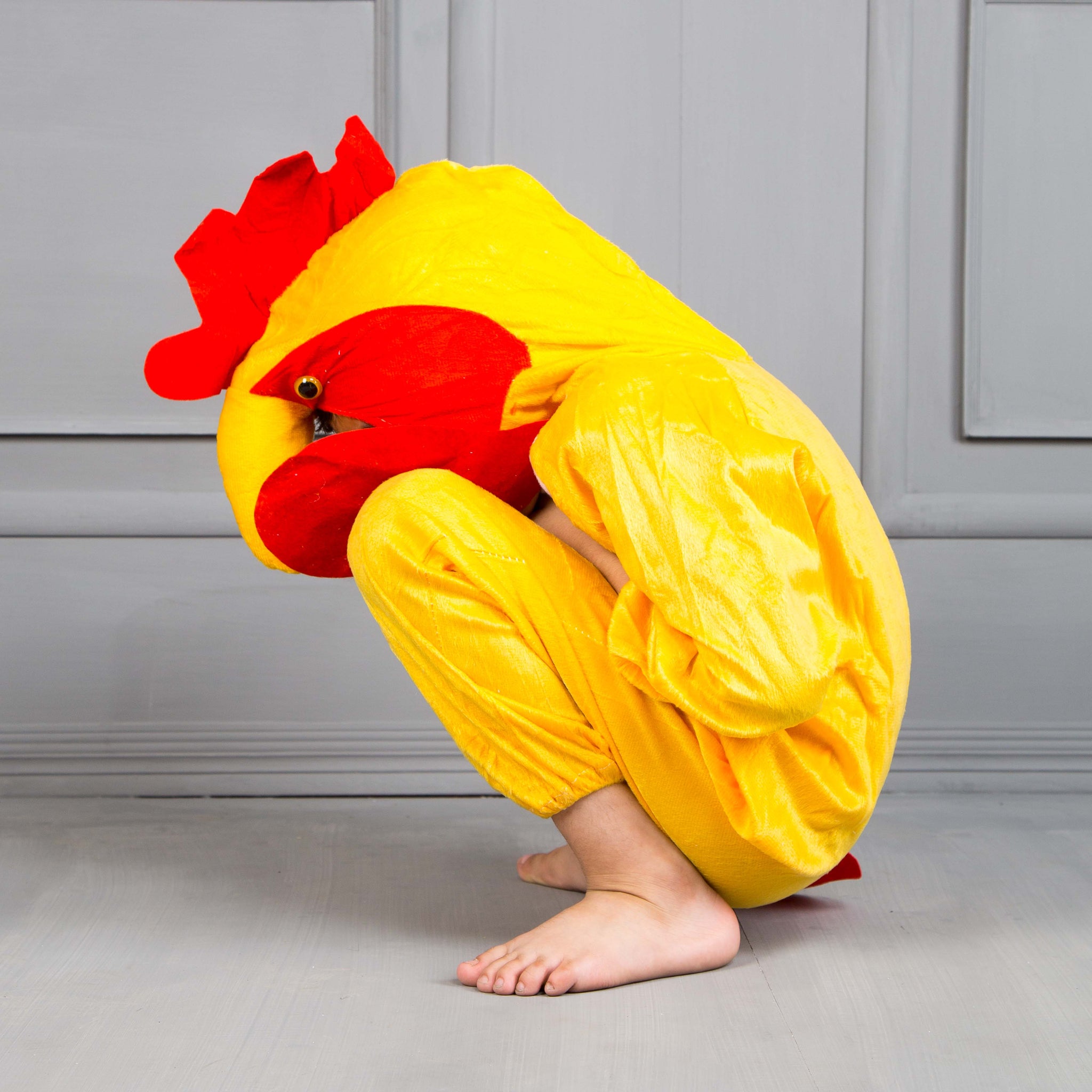 Parrot Character Costume