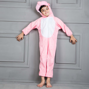 Bunny Theme Costume