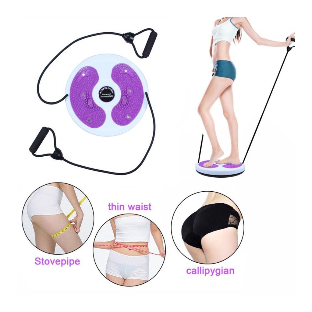 Magnetic Waist Twisting Disc
