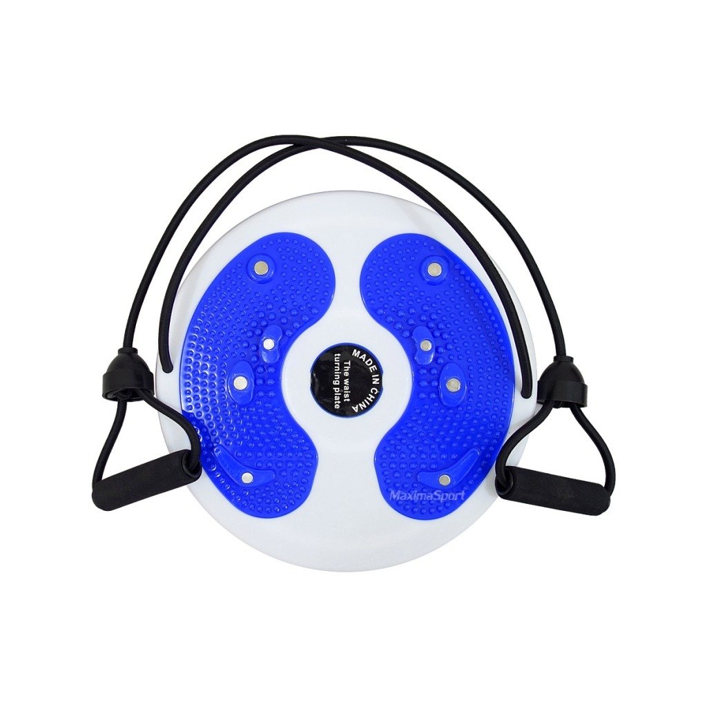 Magnetic Waist Twisting Disc