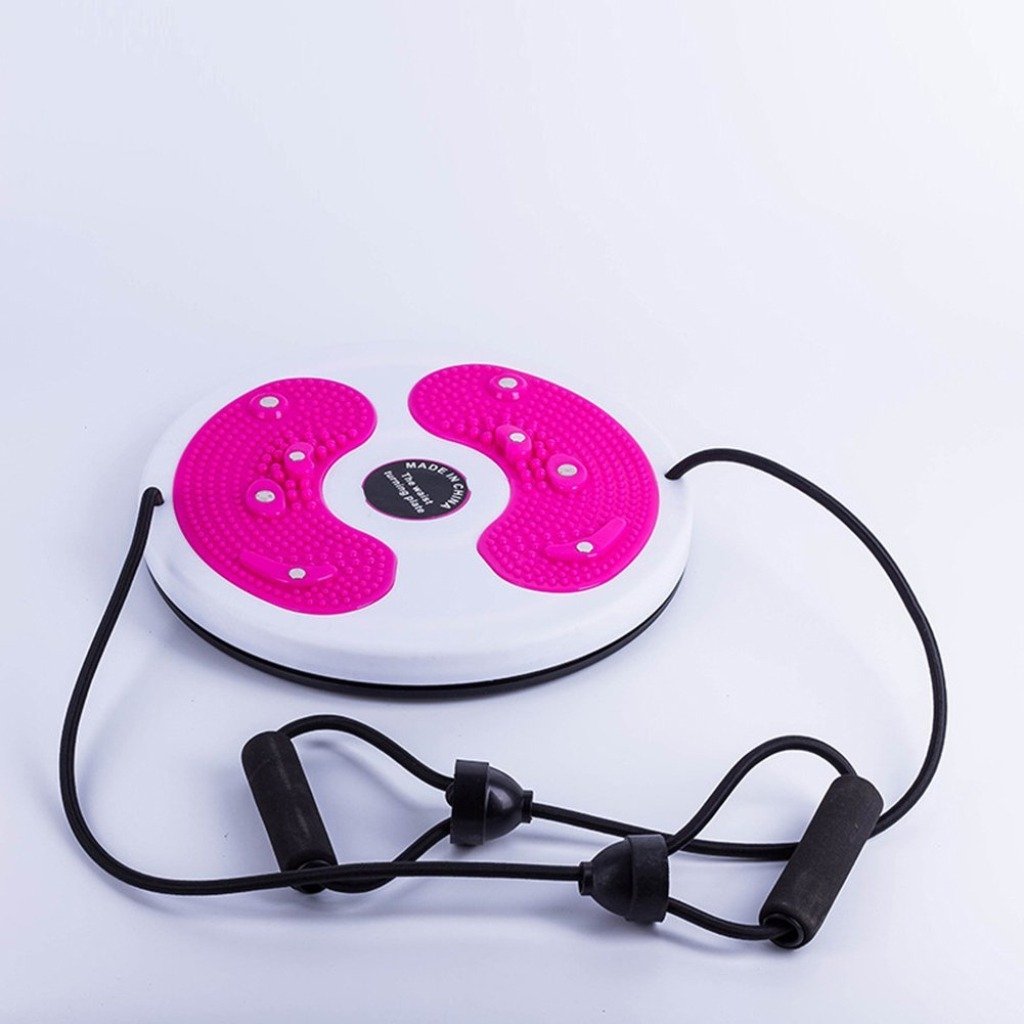 Magnetic Waist Twisting Disc