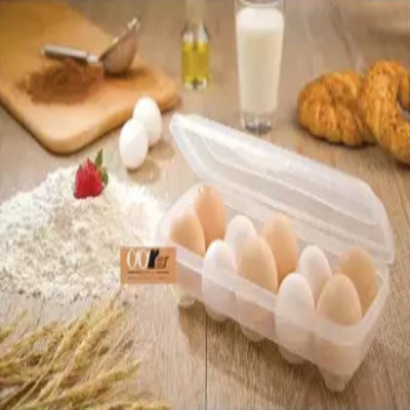 Limon  Egg Box (10 places) - waseeh.com