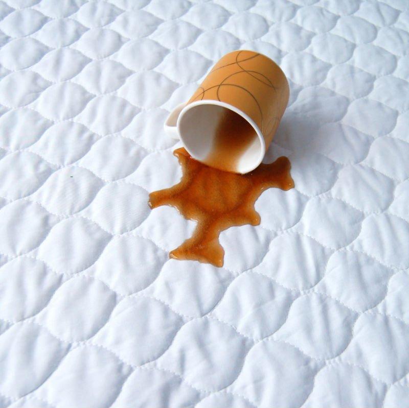 Quilted Water Proof Mattress Protector Sheet Anti Mites & Bugs