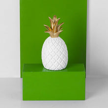 Snowy Pineapple Decor - waseeh.com
