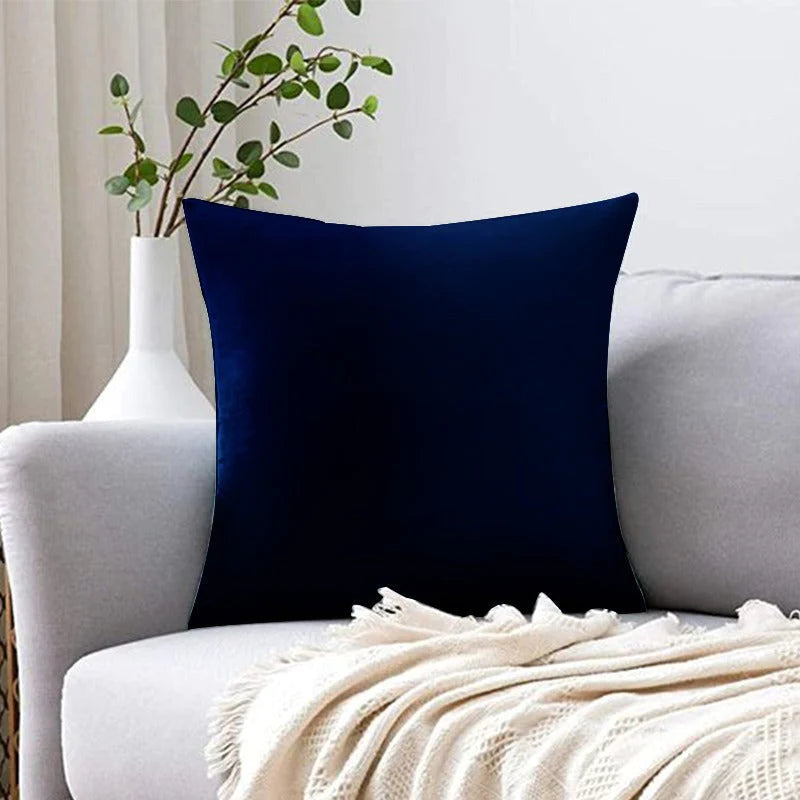 Vintage Velvet Cushion Covers (16 x 16 Inches)