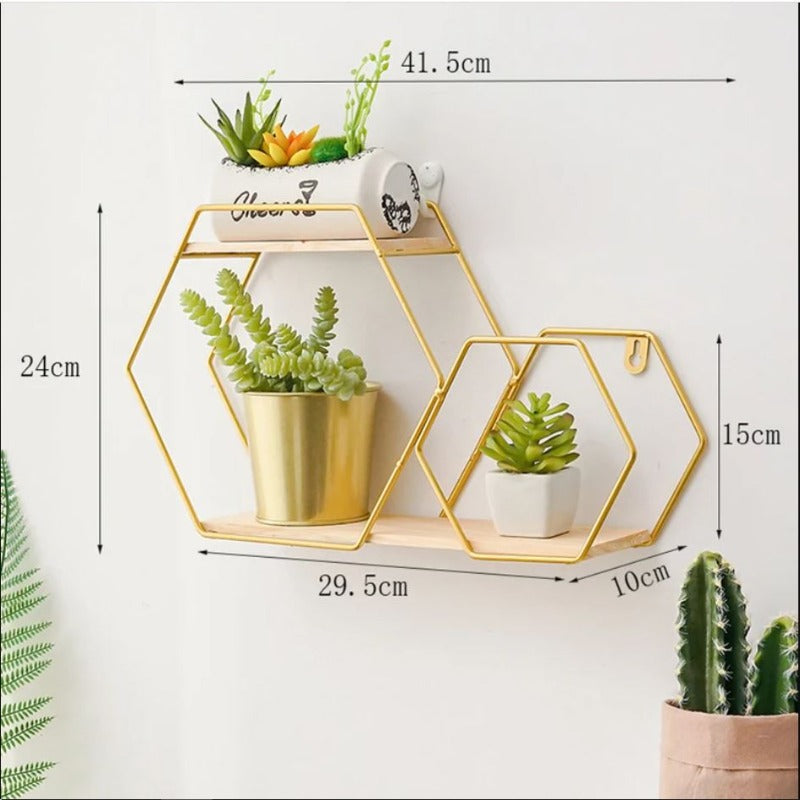Wall Floating Hexa Metal Frame Décor