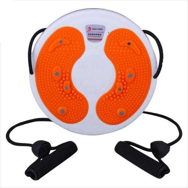 Magnetic Waist Twisting Disc